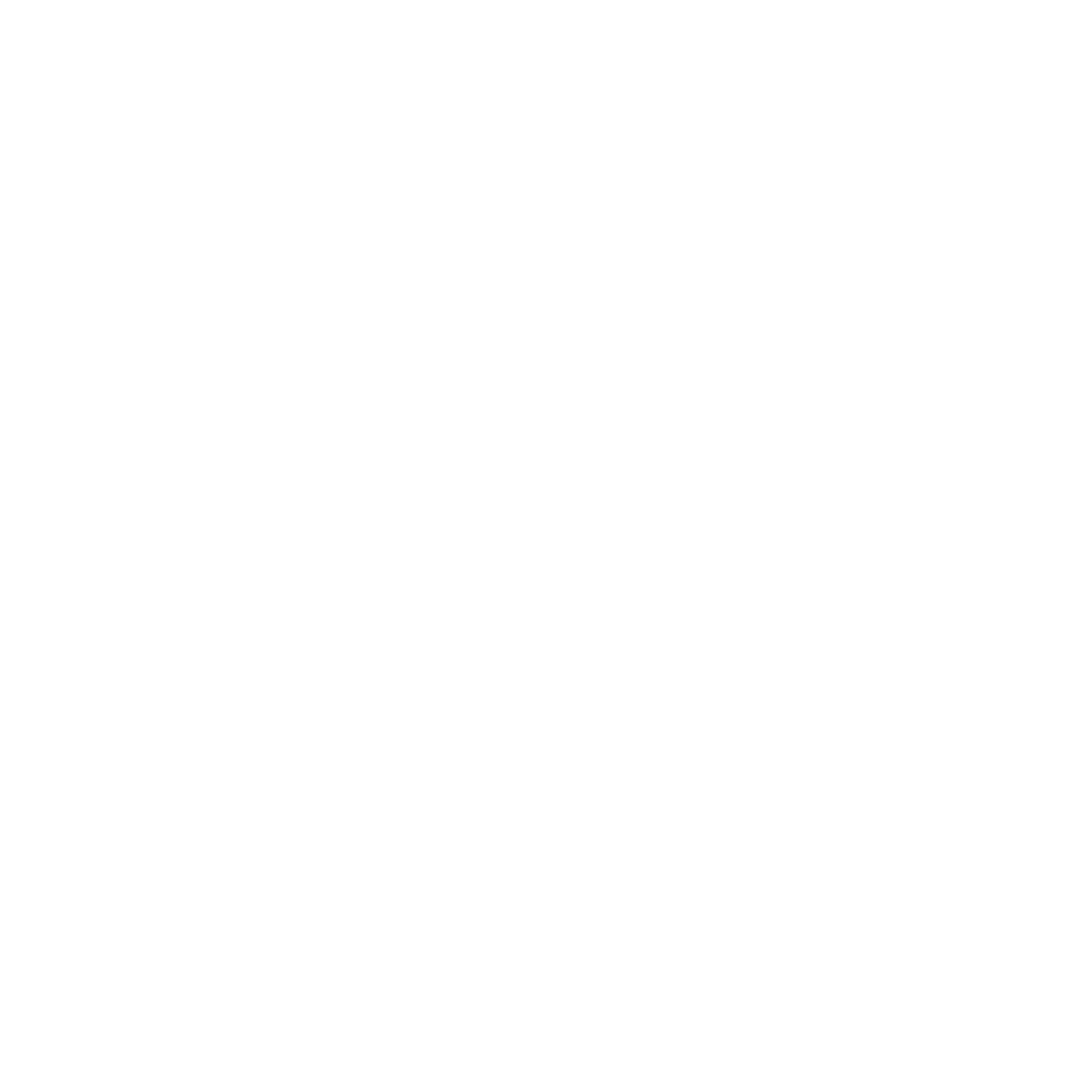 FME Logo Footer